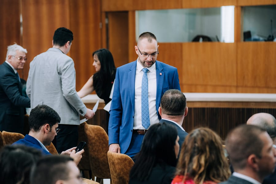 V.Velickovic May17 - 015