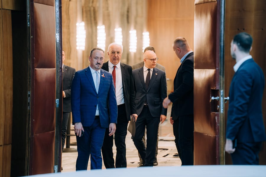 V.Velickovic May17 - 033