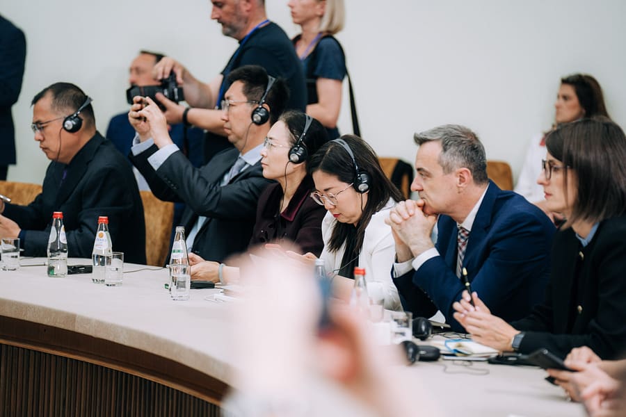 V.Velickovic May17 - 081