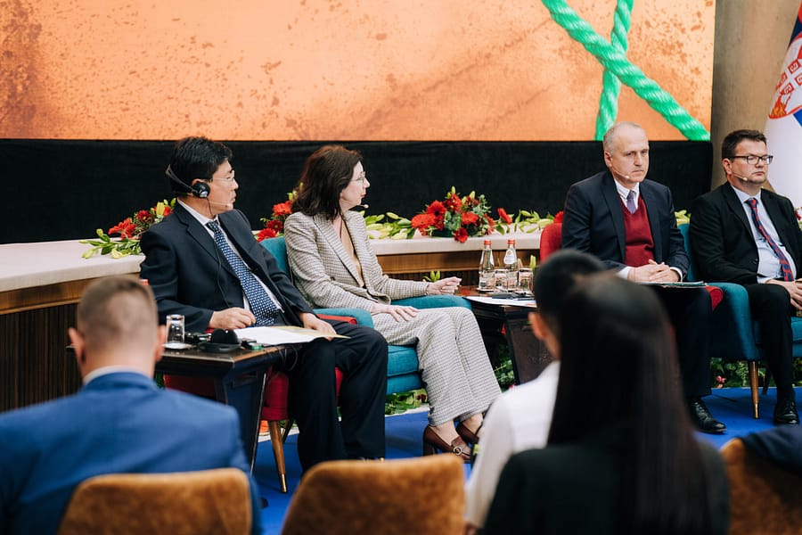 V.Velickovic May17 - 248