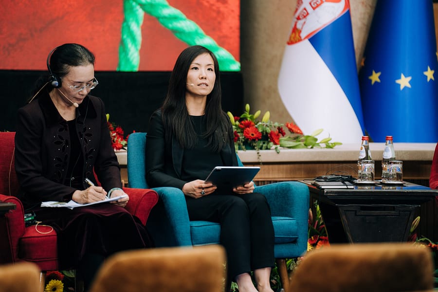 V.Velickovic May17 - 273